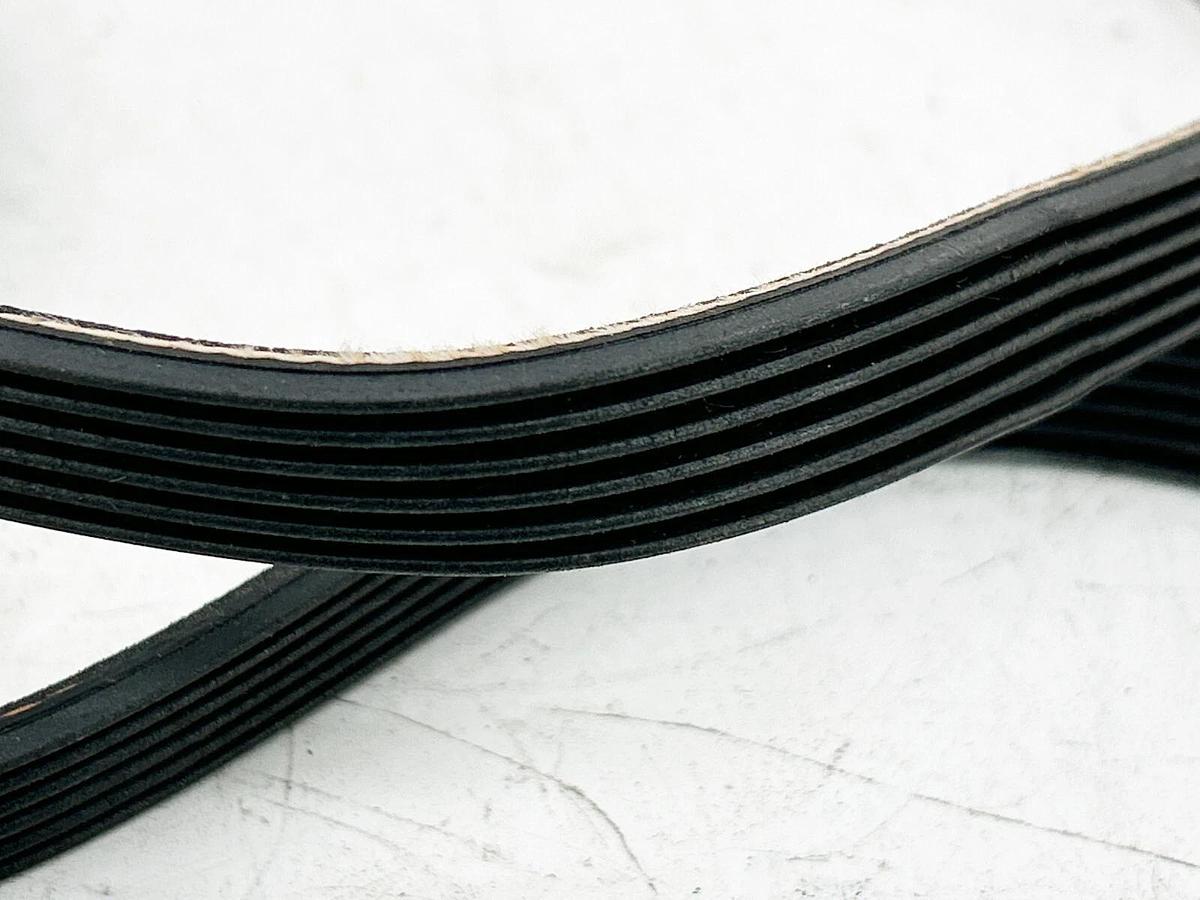 New Hitchinson PJ1168 Belt Poly V