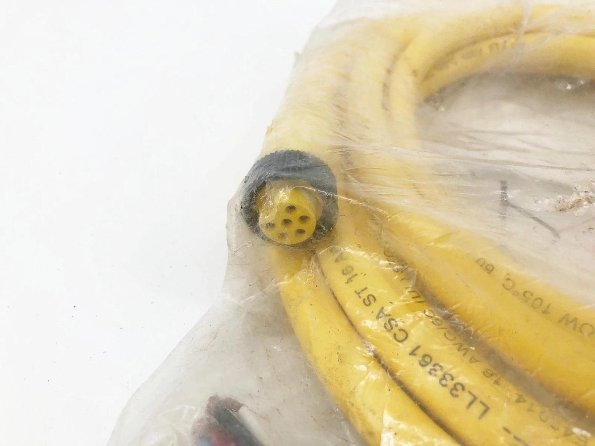 New Brad Connectivity 1300061590 Cordset 6P Female Straight 12FT 16/6 AWG 41603