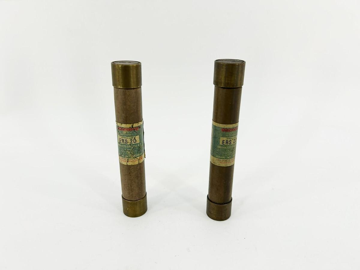 Lot of 2 New Economy ERS20 Fuses, 20 A, 600V, Time Delay Dual Element