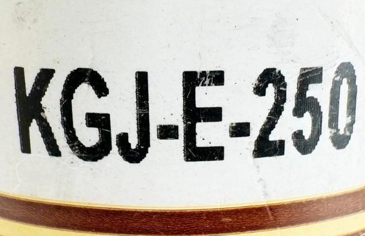 New Bussmann KGJ-E-250 Limitron Current-Limiting Fuse 250A 600V