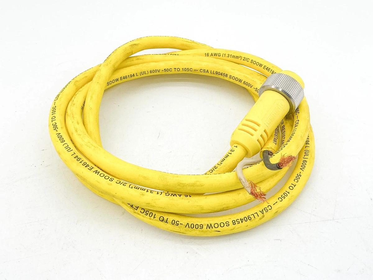 New Molex 102002C01F0601 Cordset 2P 600V 13A - No Box