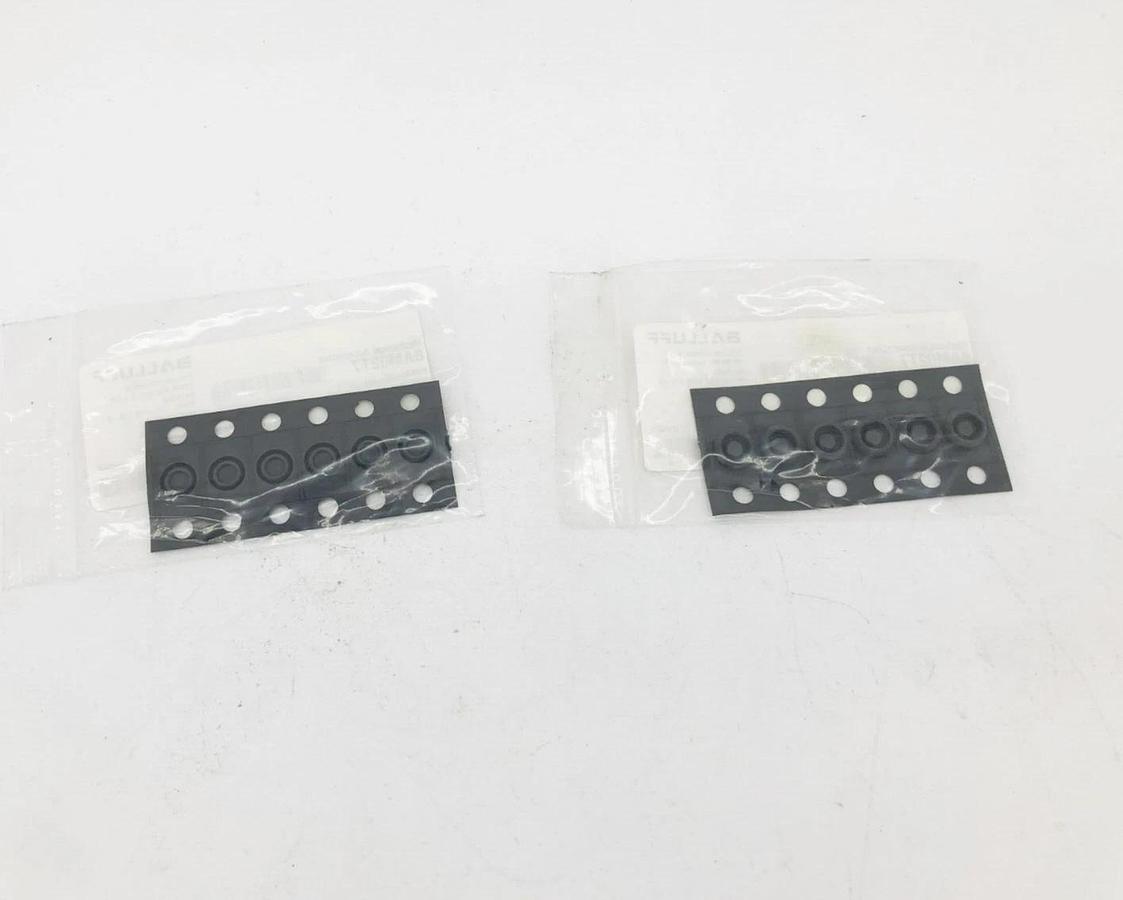 Lot of 2 New Balluff BAM02T7 Mechanical Switch Accessories BAM SE-NS-004-06/12