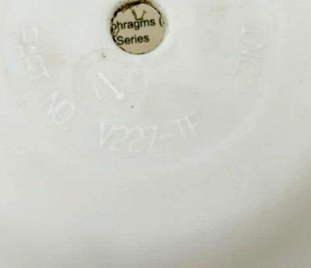 New Versa-Matic V227-TF Diaphragm for E2 Pumps