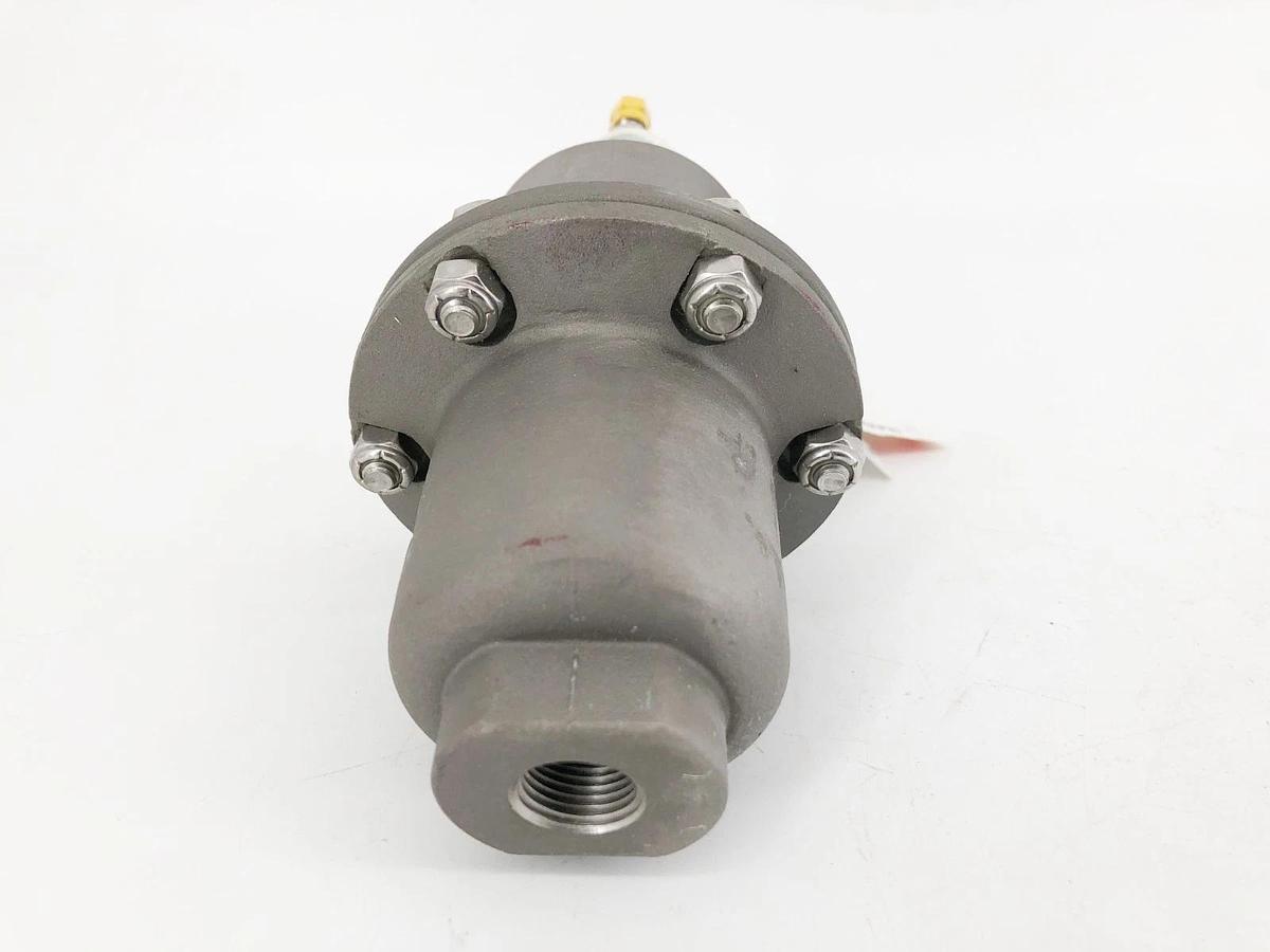 New Blacoh CTS1020B Pulsation Dampener 1/2" FNPT 300psi - No Box