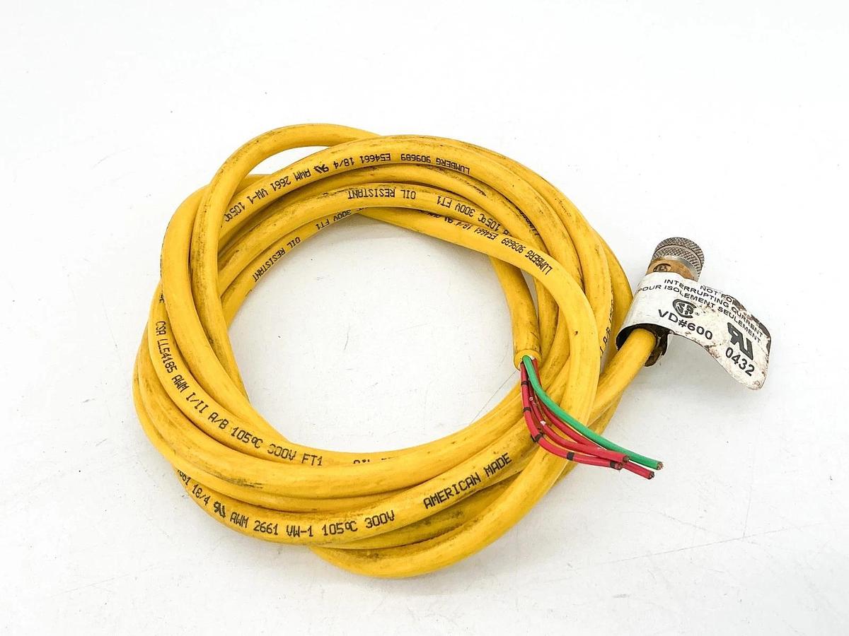 Used Lumberg RKT 4U-689/30FT Cordset 4Pin 300V