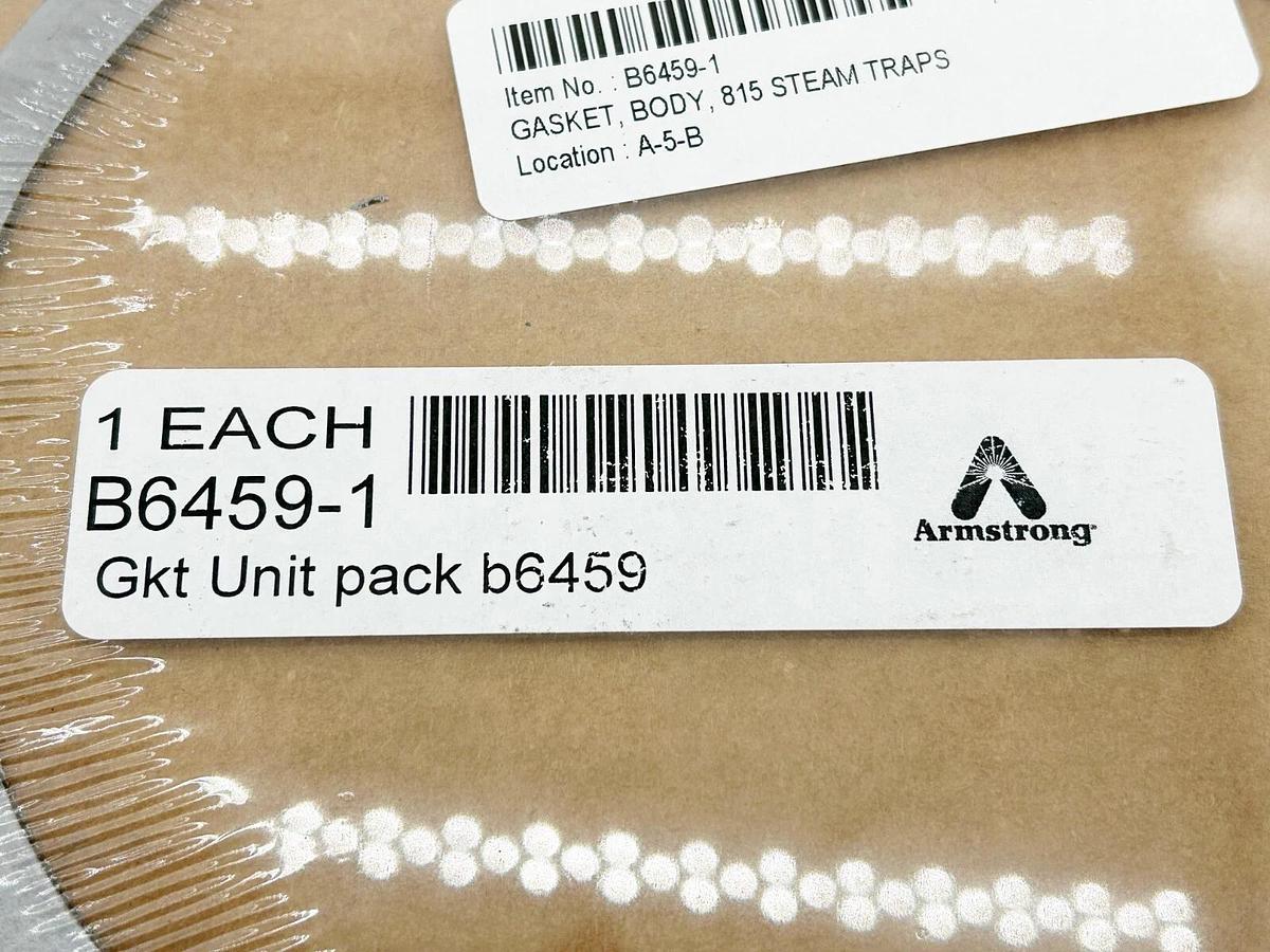 New Armstrong B6459-1 Gasket Unit Pack B6459