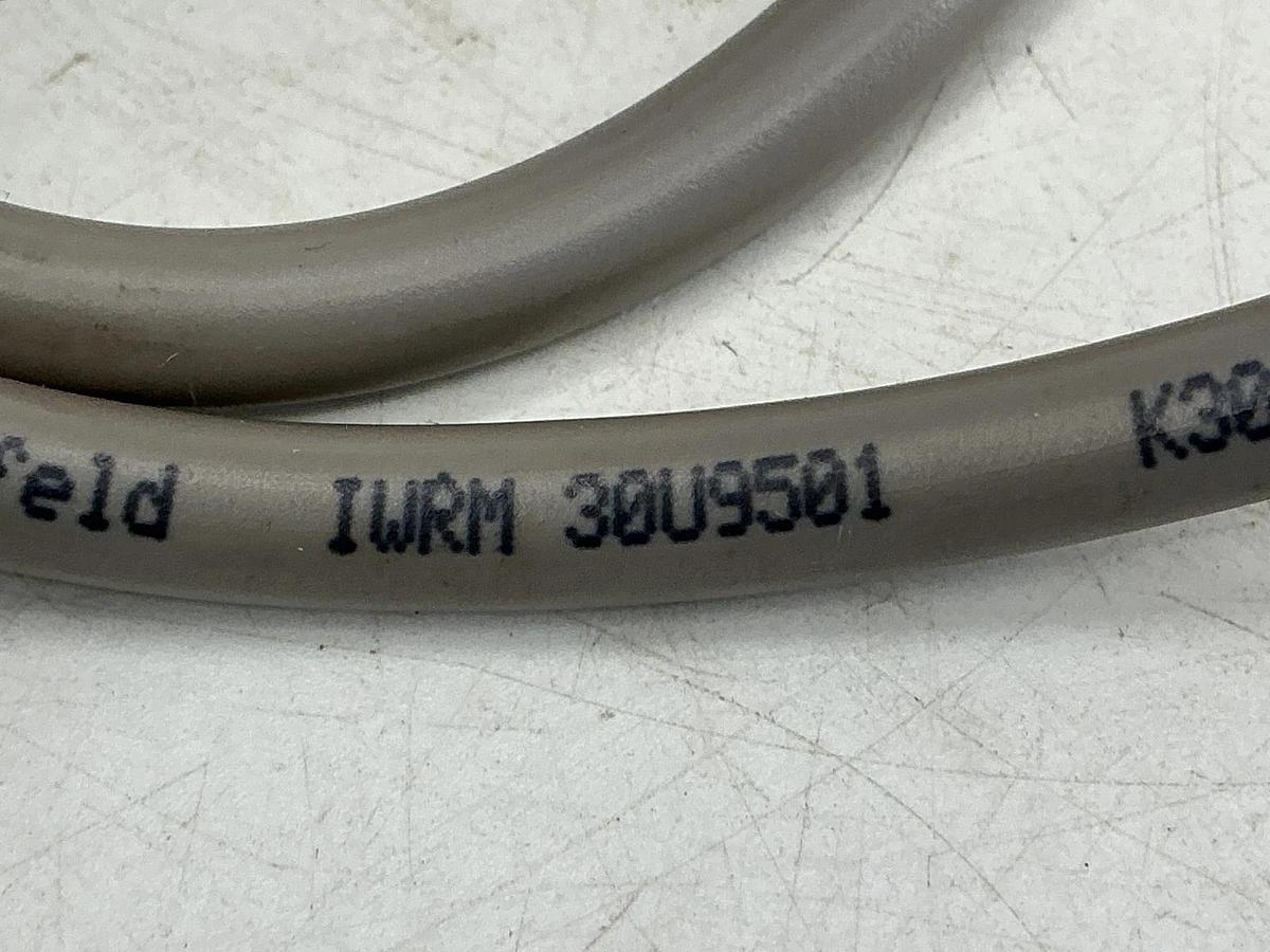 New Baumer Electric IWRM-30U9501 Inductive Prox Sensor Sn=10mm CH-8500 - No Box