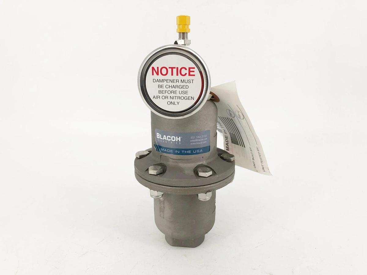 New Blacoh CTS1020B Pulsation Dampener 1/2" FNPT 300psi - No Box