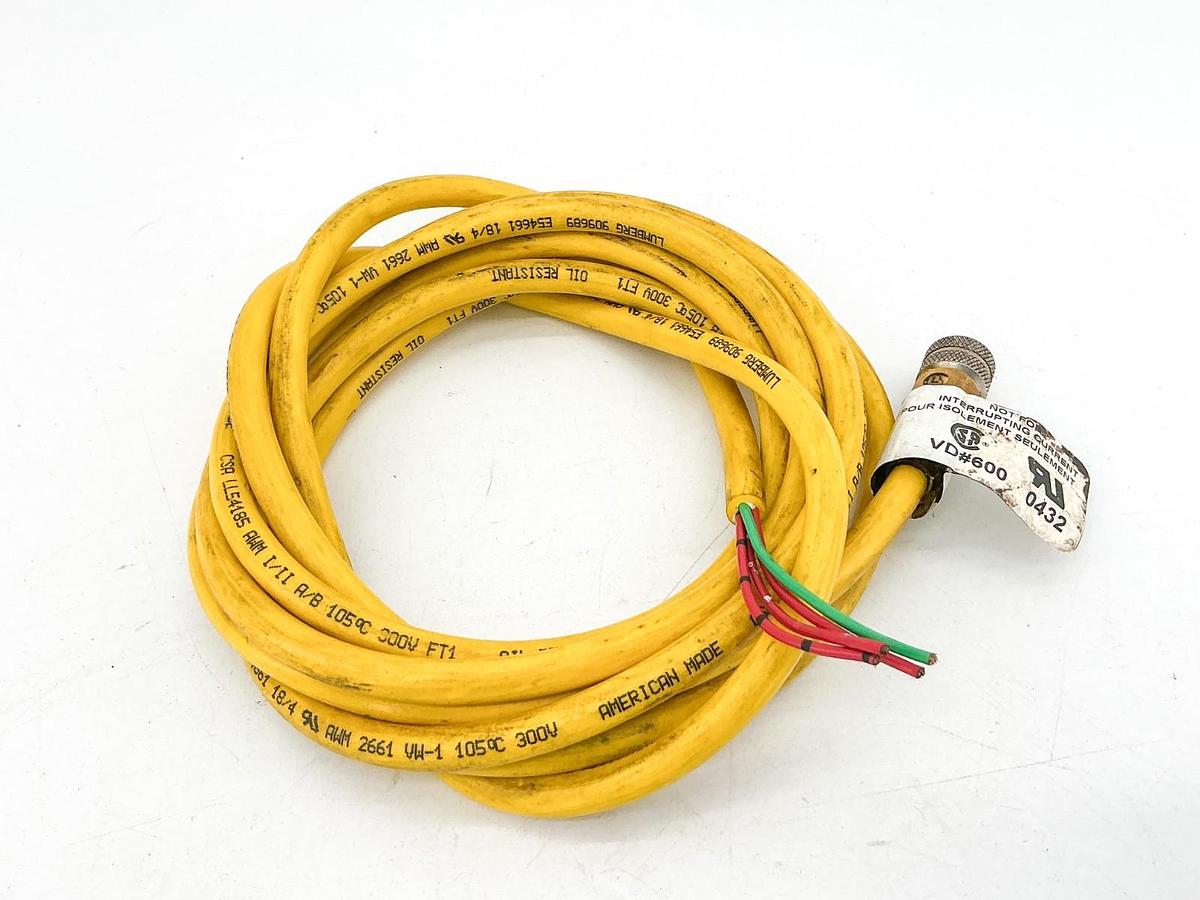 Used Lumberg RKT 4U-689/30FT Cordset 4Pin 300V