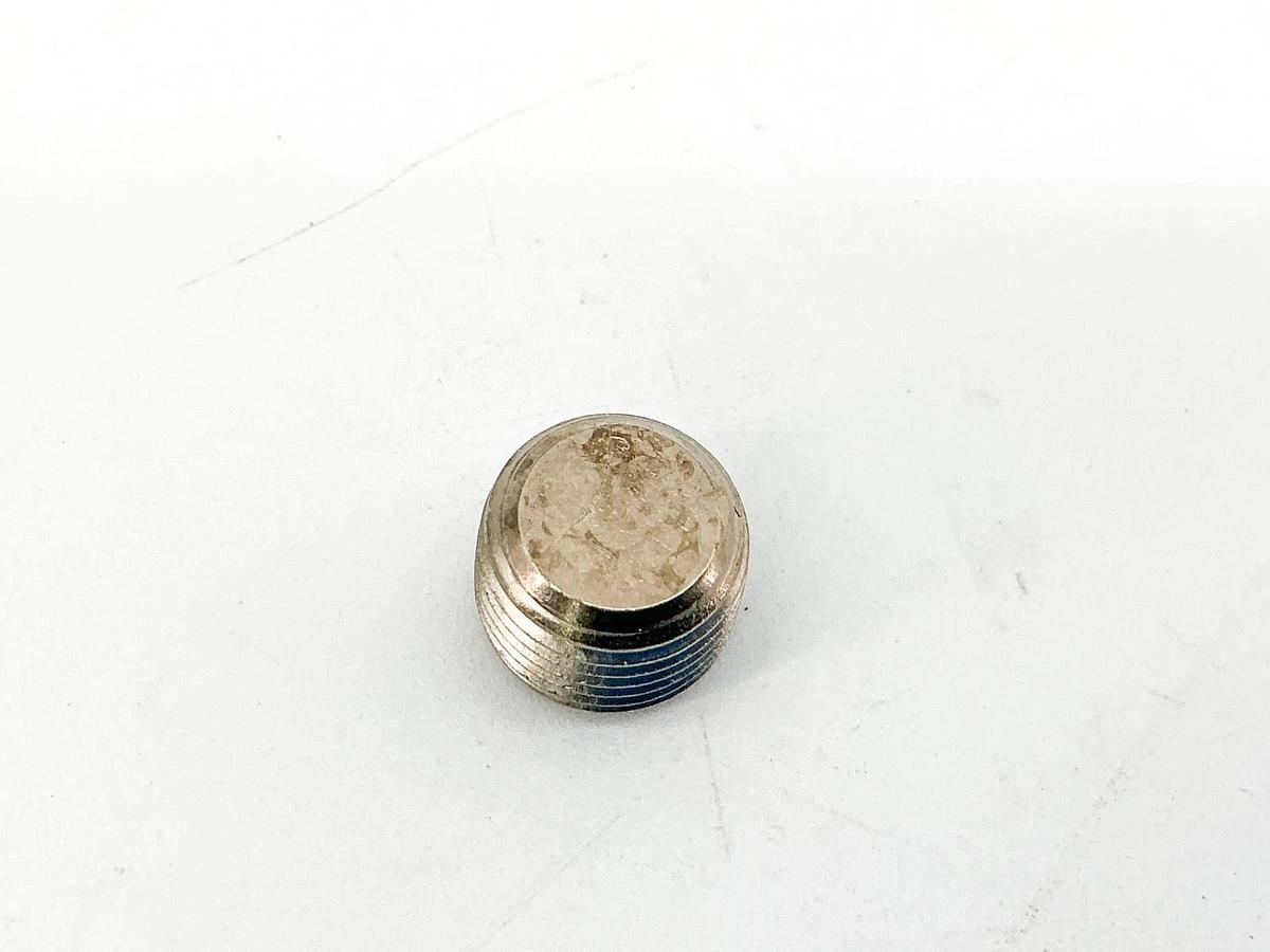 New Lot of 12 Spraying Systems CP10640-1-ENP 1/8" Pipe Plug BRPLTD G97kh0604