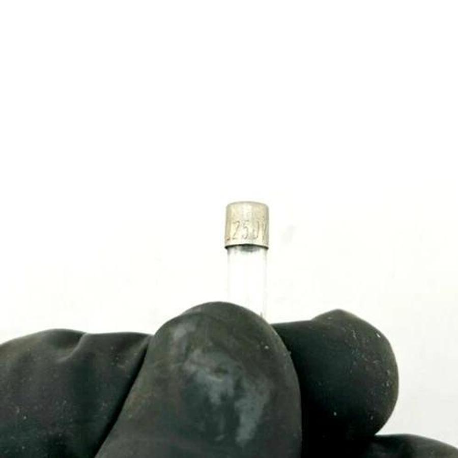 Lot of 25 New Buss F100mAL250V Fuses
