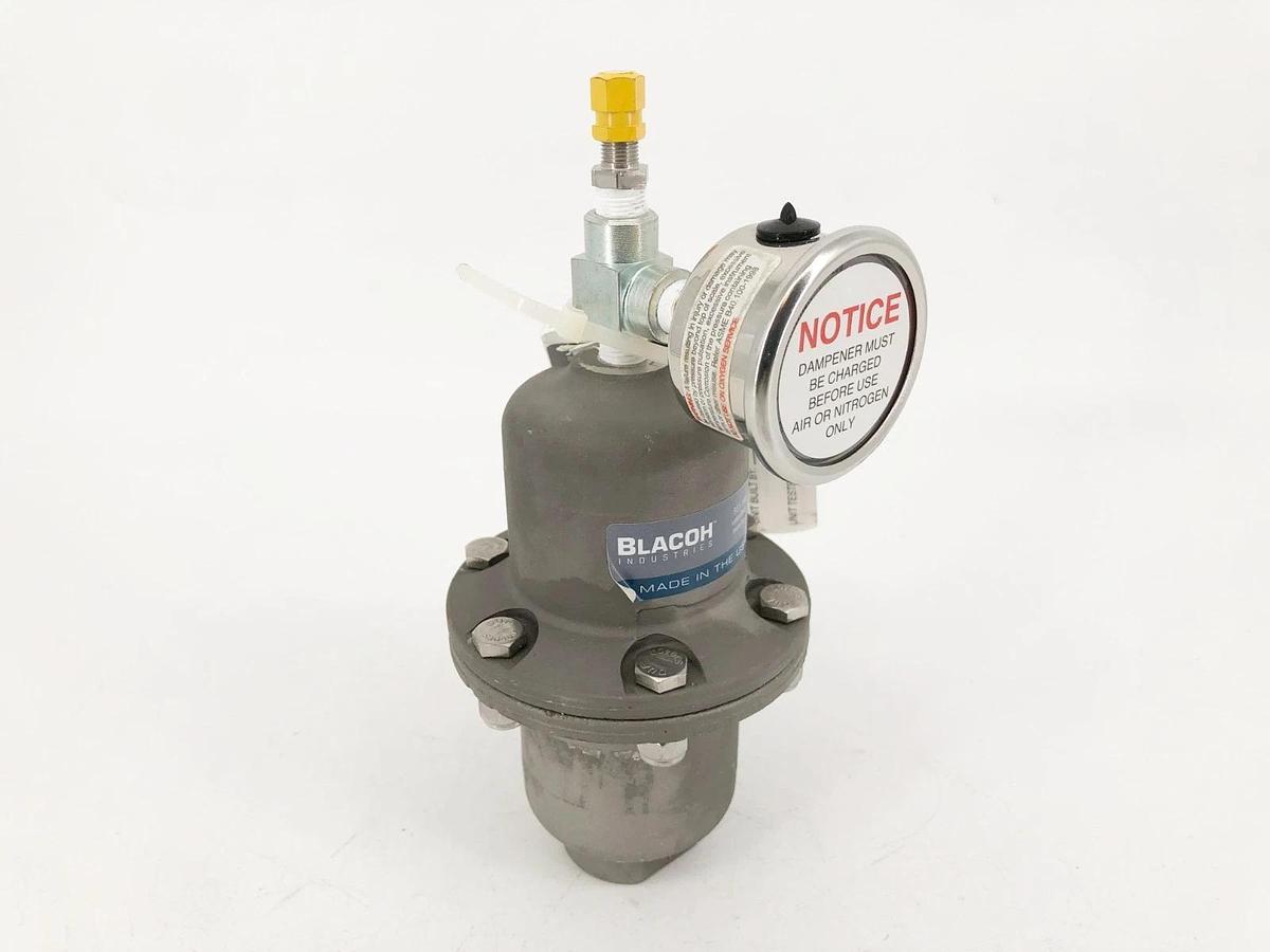 New Blacoh CTS1020B Pulsation Dampener 1/2" FNPT 300psi - No Box