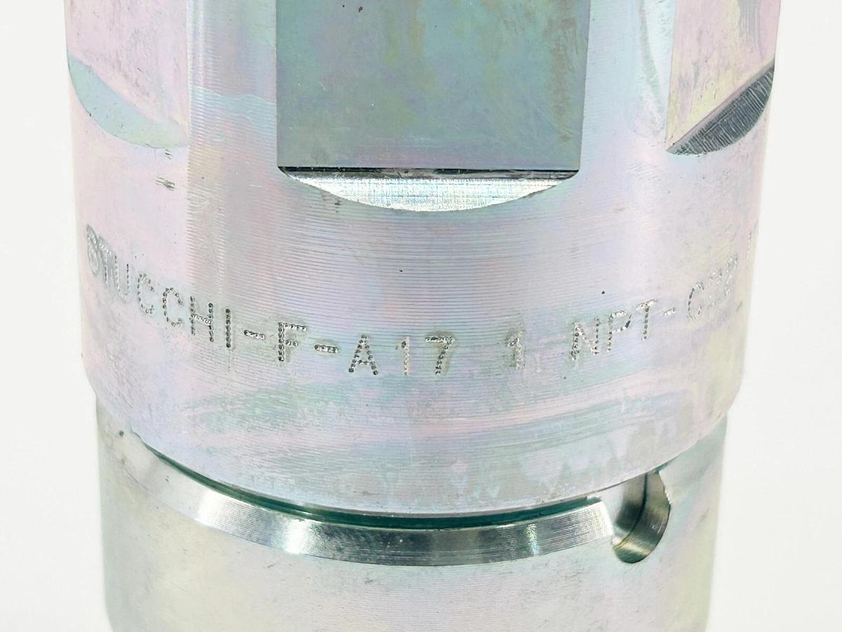 New Stucchi STUCCHI-F-A17 Coupler NPT-C22