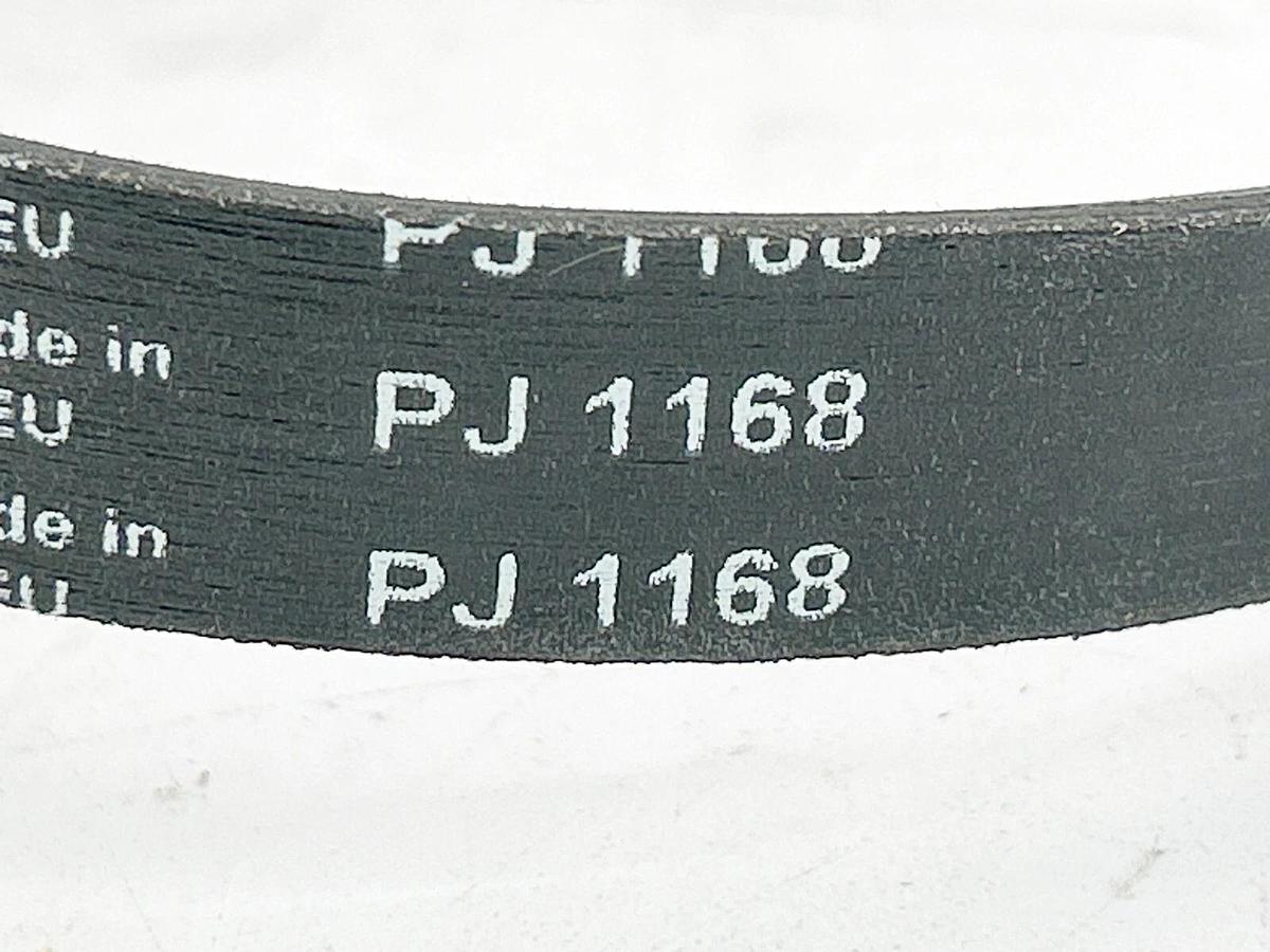 New Hitchinson PJ1168 Belt Poly V