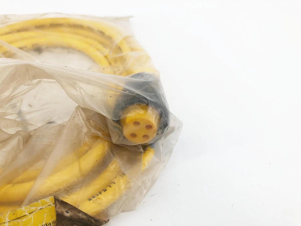 New Turck RK 40-2M Cordset 7/8" Straight Female 4 Wire 18AWG 2m U2042