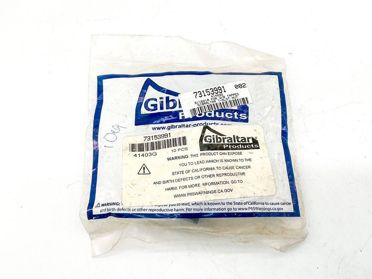 New Bag of 10 Gibraltar 73153991 T-Slot Nut 5/16"X18 for 3/8" Tapped 41403G