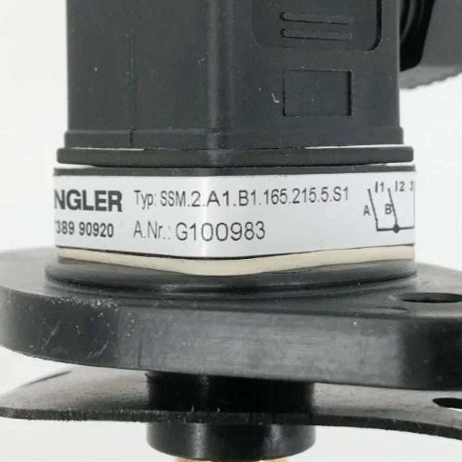 New Engler SSM.2A1.B1.165.215.5.S1 Float Switch 230VAC 1A 60VA G100983 - No Box