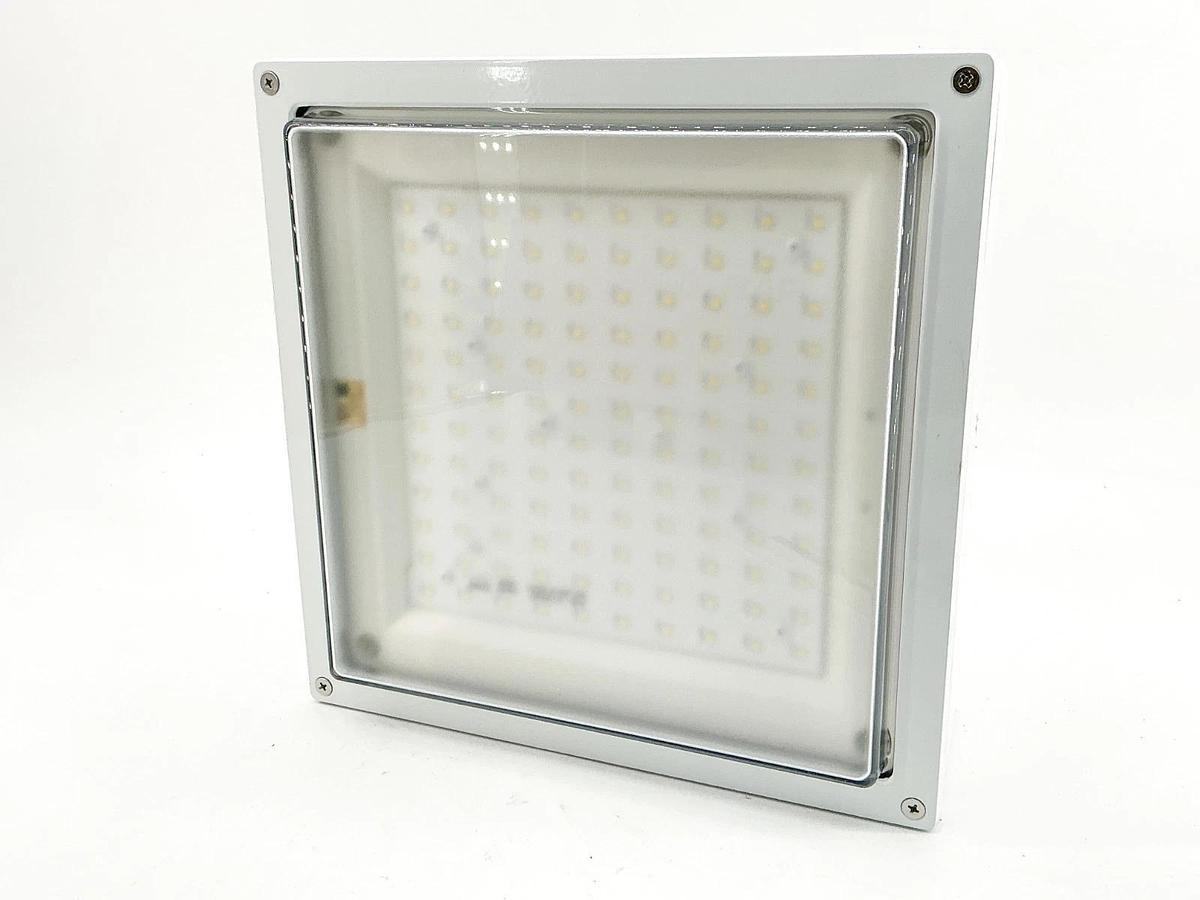 New RAB VANLED40W Fixture 120/277V 5000K Drop Clear Lens White