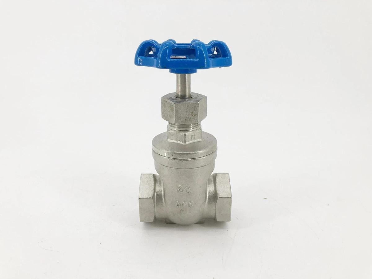 New Legend 113-404 Gate Valve T-751 3/4" CF8M SS 600psi