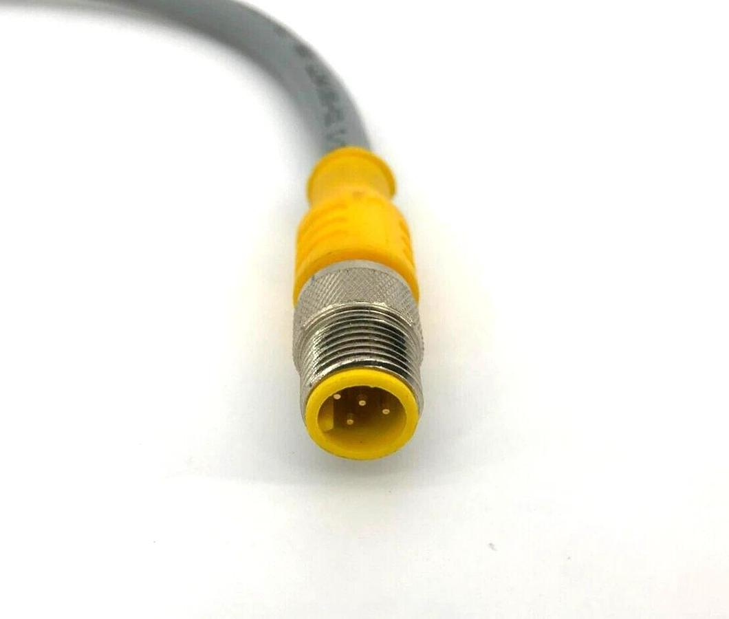 New Turck RKC 4.5T-2-RSC 4.5T/S1538 Cordset M12 Male to M12 Female, U5196-6