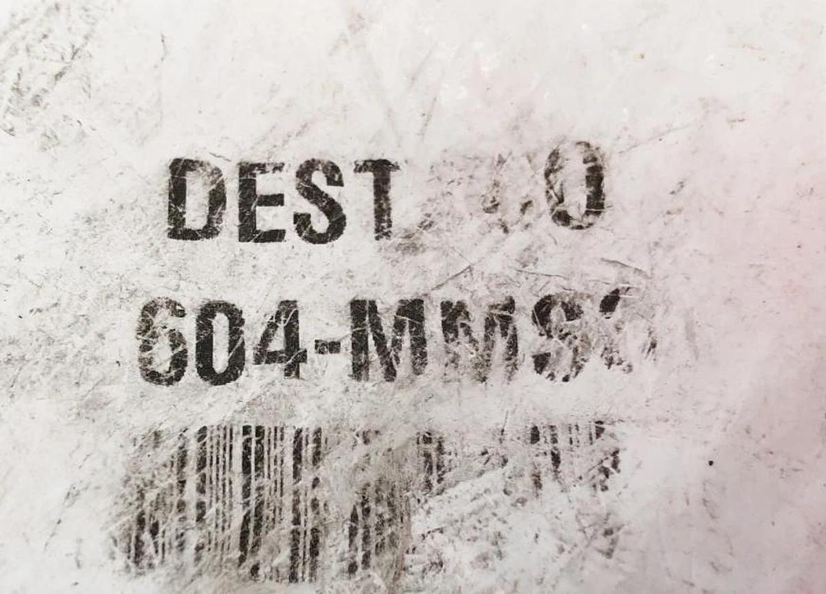 New Destaco 604-MMSS Standard Straight Line Action Clamp