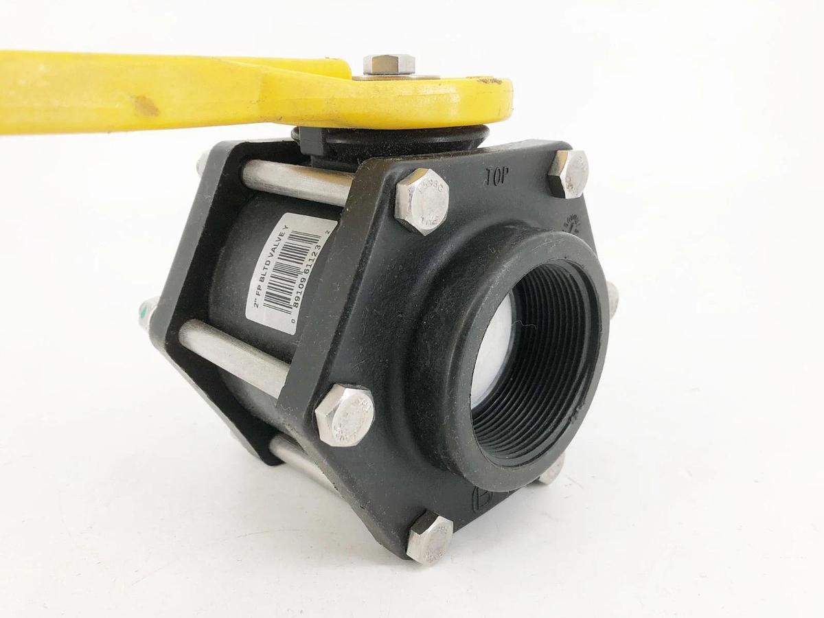 New Apache 49030010 2" Full Port Bolted Poly Ball Valve - No Box