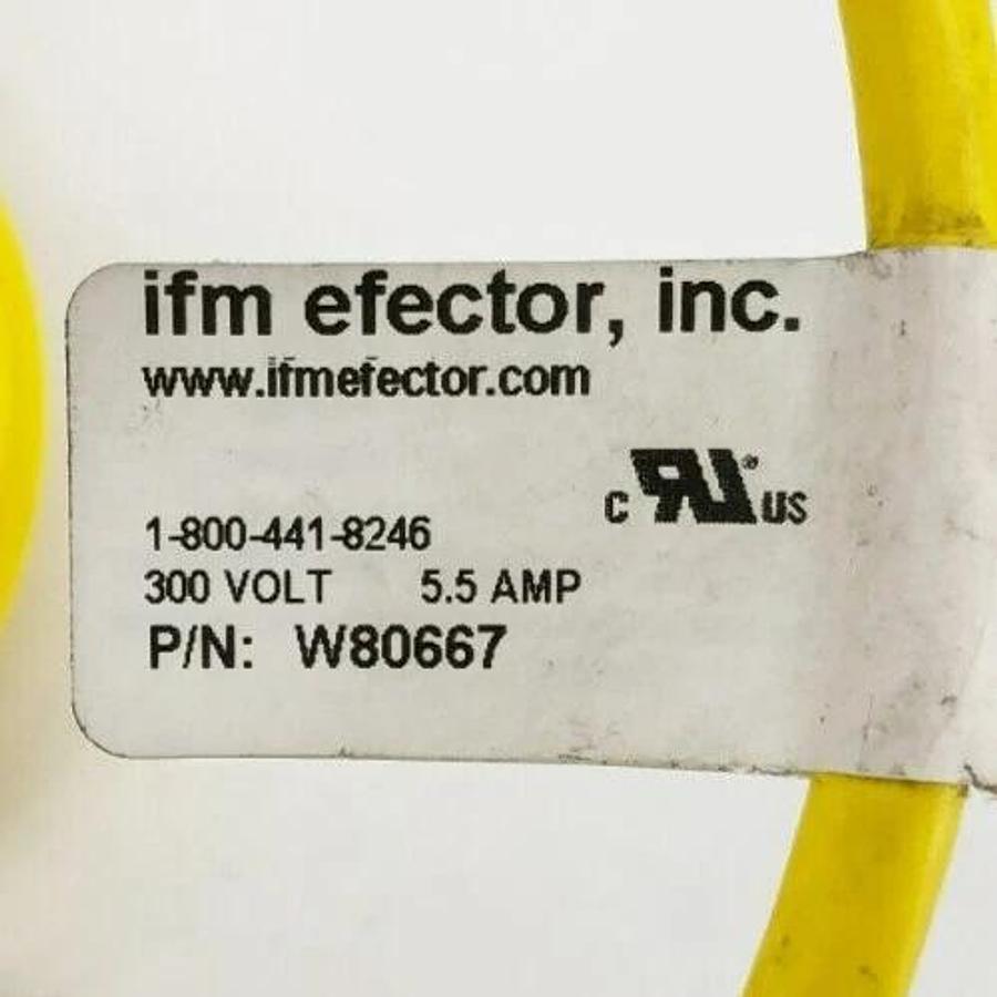 New IFM W80667 Cable 5-Wire Straight 7/8" Mini Female Connector 18 AWG 5M