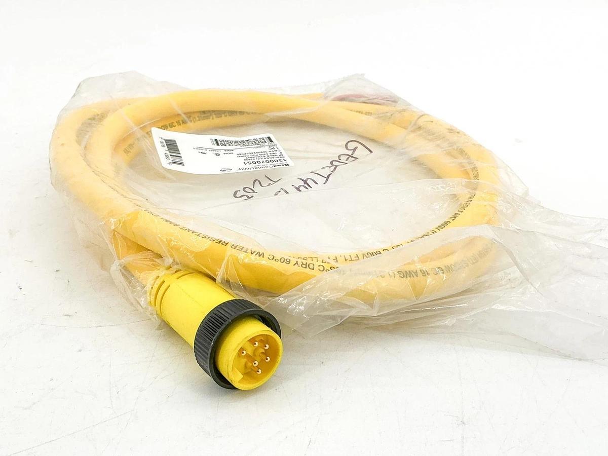 New Brad Connectivity 1300070051 Cordset 6P Male Straight 206002A01F060 4209