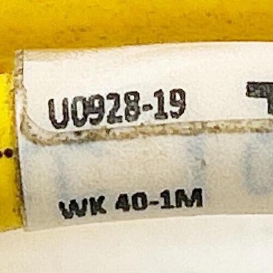 Used Turck WK 40-1M Single Ended Cordset Mini Fast 4 Pin U0928-1