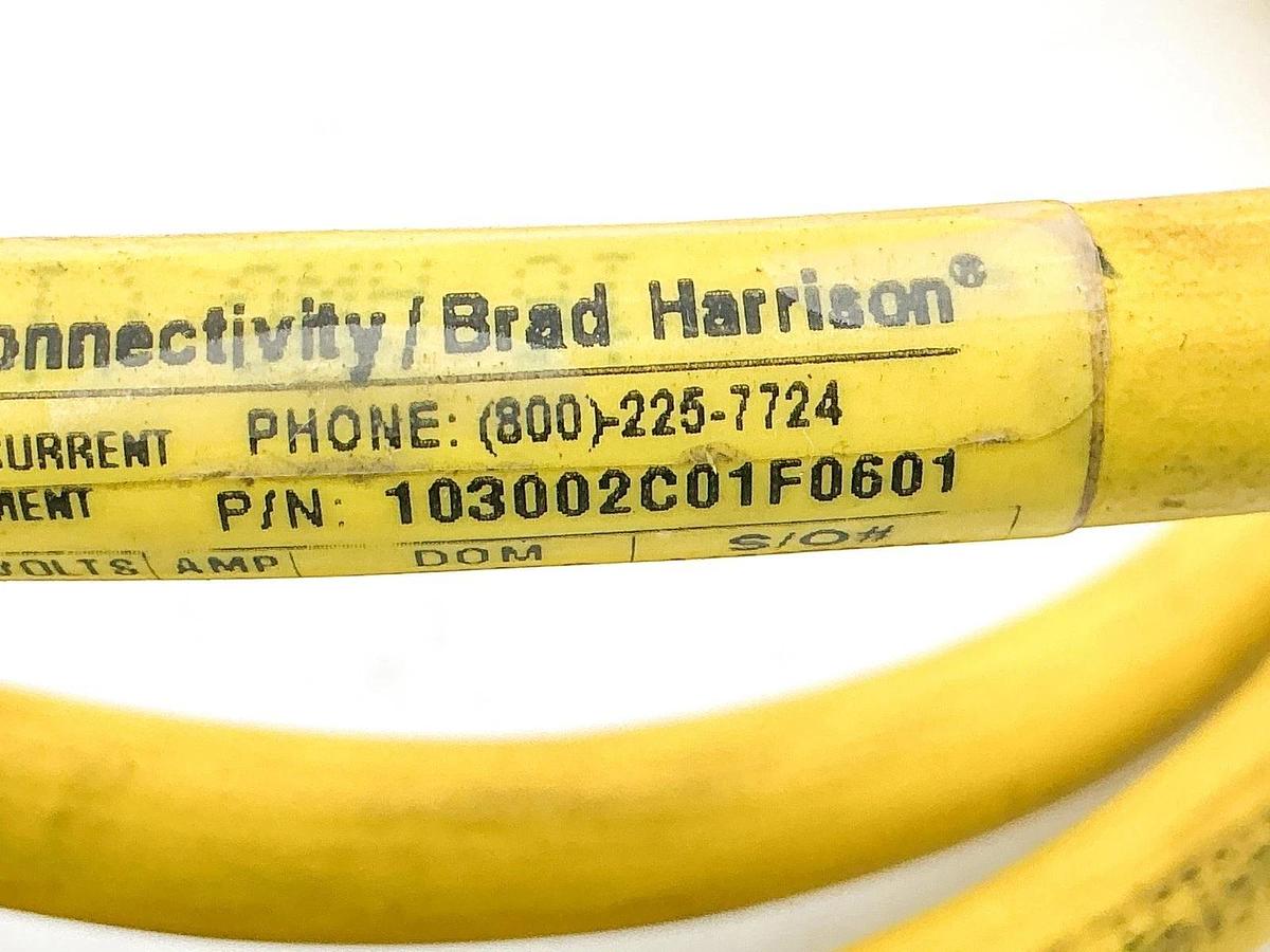 Used Allen Bradley 889N-U6AF-6F QD Cordset 6Pin Mini Straight Ser.B 70"