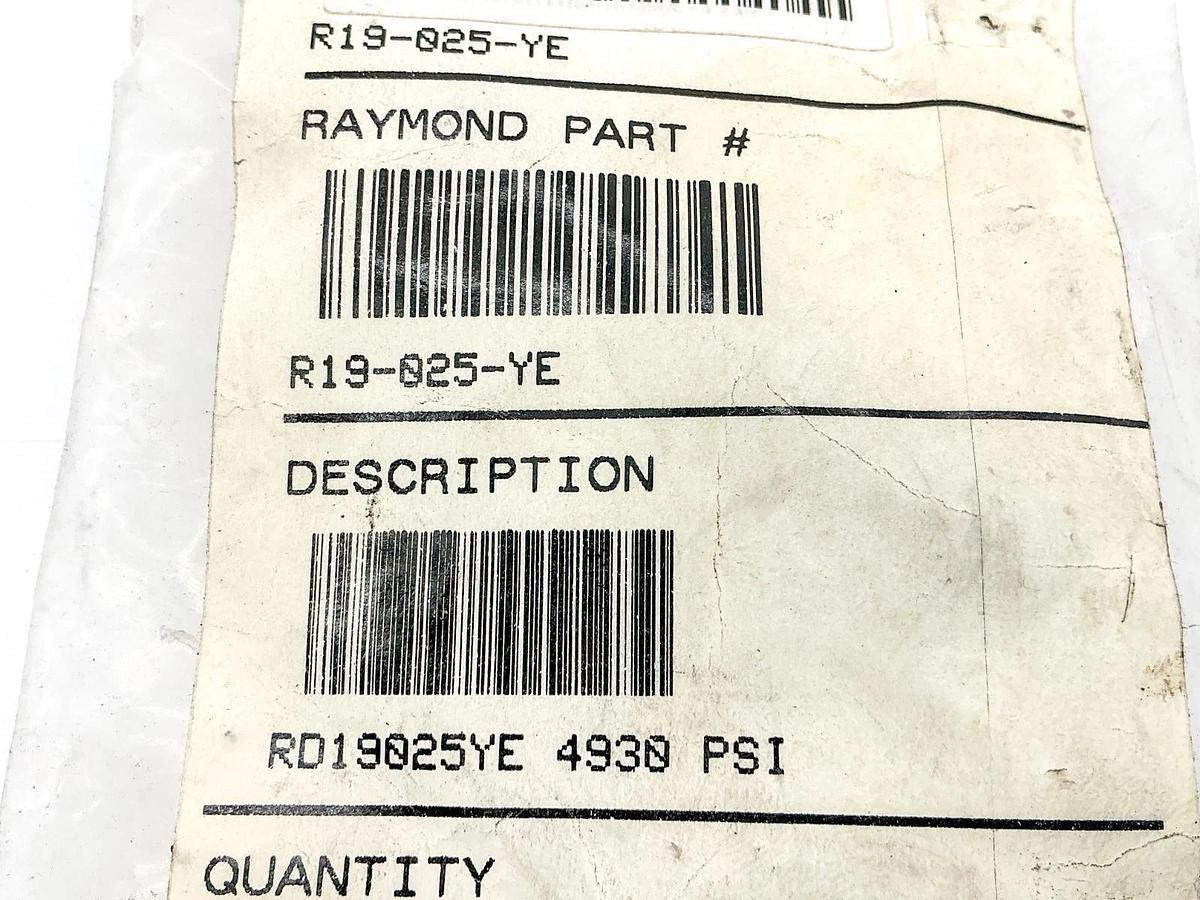 New Raymond R19-025-YE Nitrogen Gas Spring 4930PSI RD19025YE