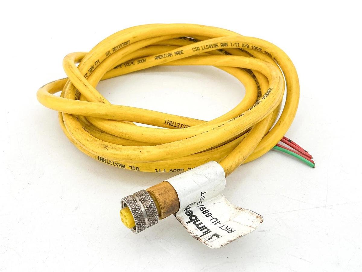Used Lumberg RKT 4U-689/30FT Cordset 4Pin 300V