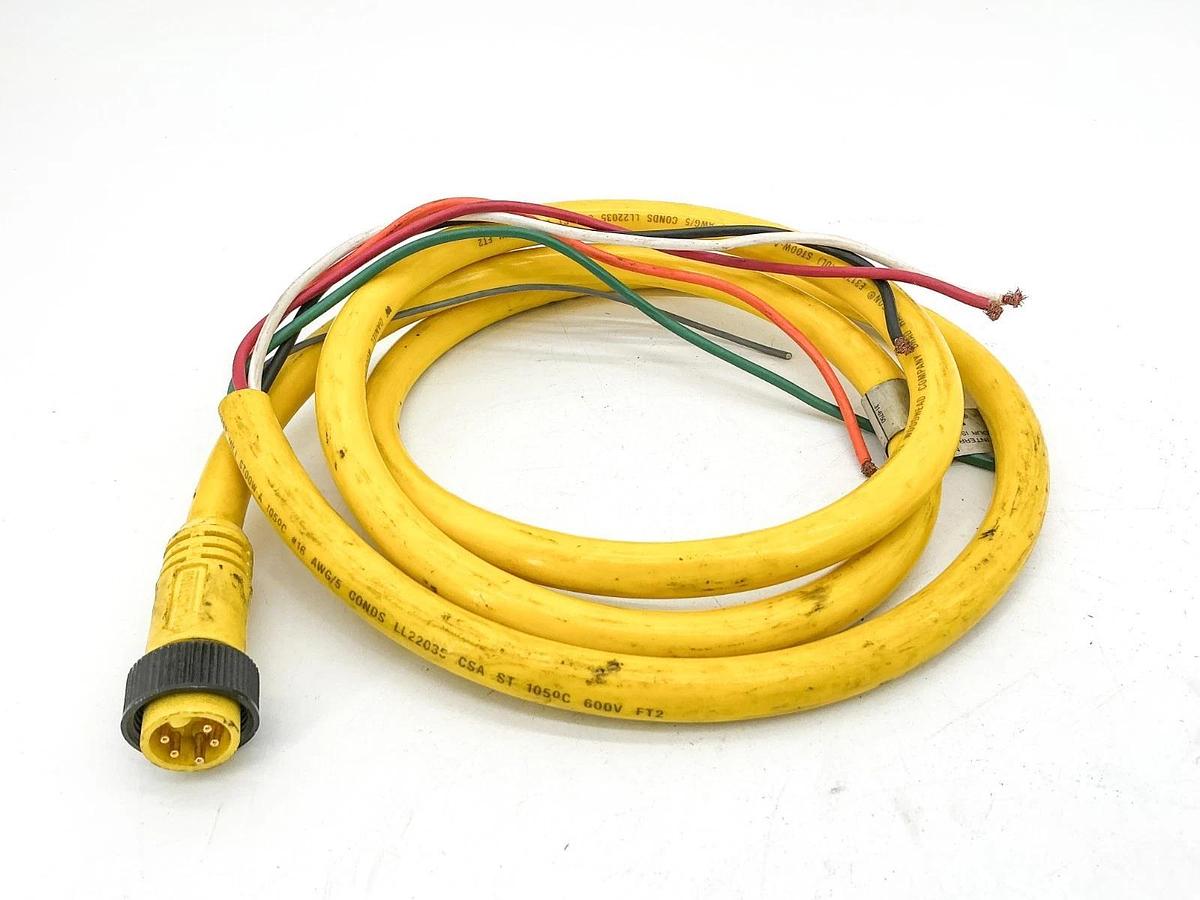 Used Daniel Woodhead 41316 Cordset 600V 8A 6 Wire