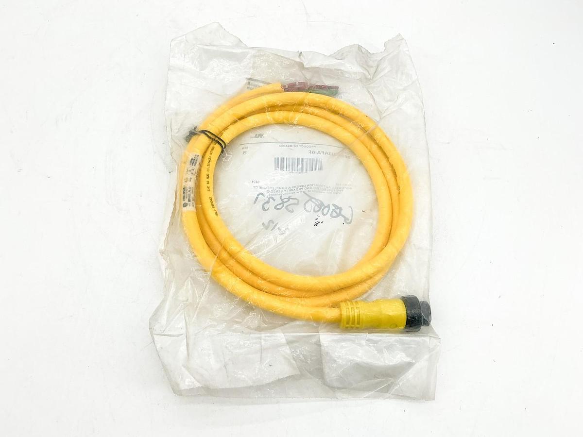 New Allen Bradley 889N-U3AFA-6F QD Cordset 3Pin Mini Straight 6' Ser.B