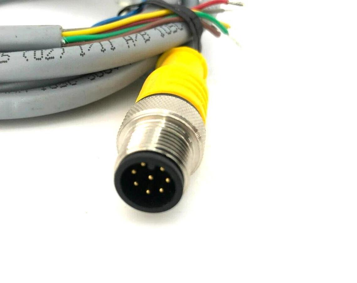 New Turck RSC 8T-2 Eurofast Cordset M12 Male 2M Length U2143-66