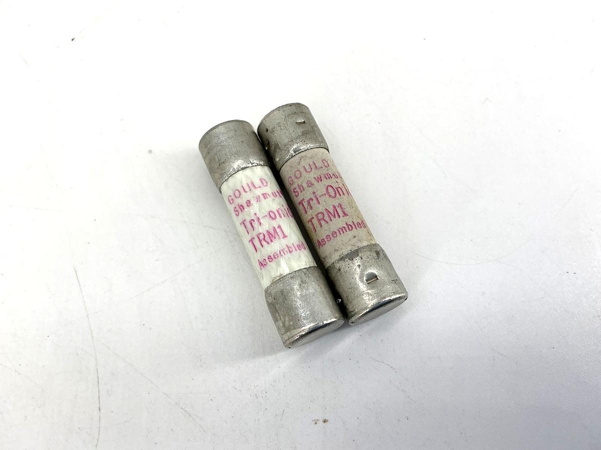 Used Lot of 2 Gould Shawmut TRM1 Tri-Onic Time-Delay Fuse 1A 250VAC