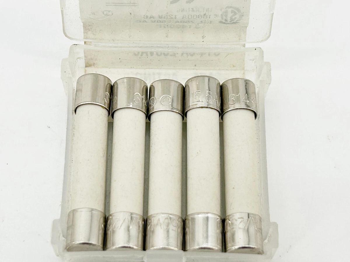 New Lot of 10 Littelfuse 314006P Fuse 6A 250V 314