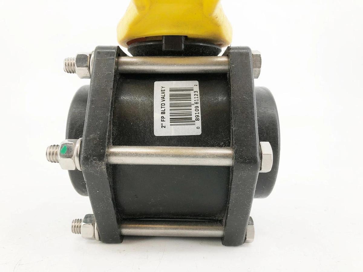 New Apache 49030010 2" Full Port Bolted Poly Ball Valve - No Box
