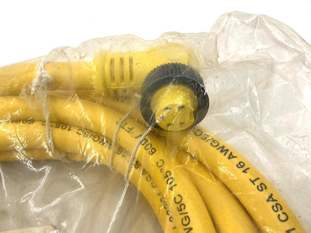 New Brad Connectivity 115021A01F120 Cordset Male/Female 5-Pin 12ft 1300101166