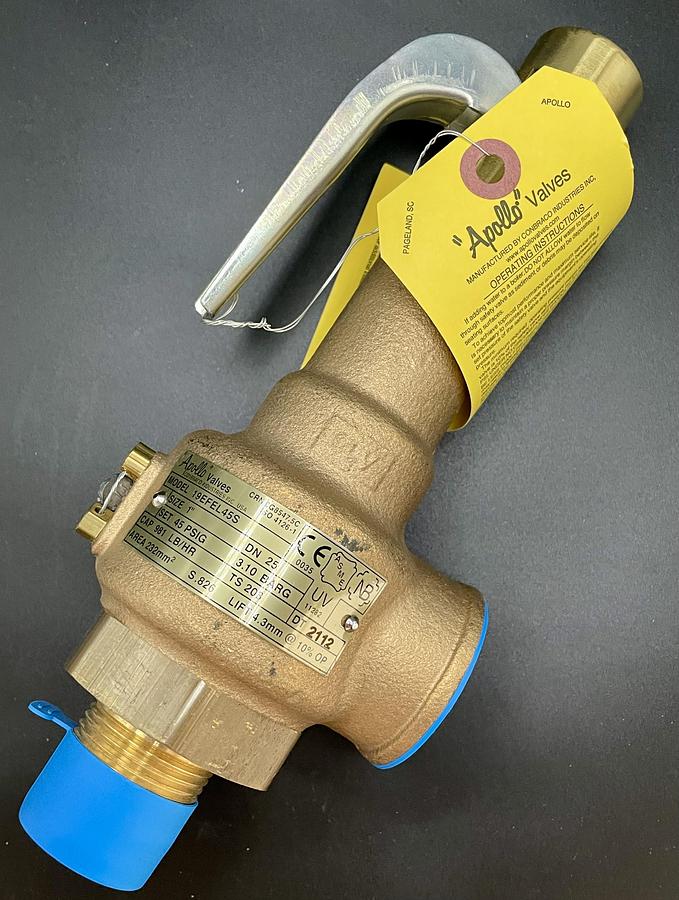 Apollo 19-EFEL-45S Safety Relief Valve 1-inch Bronze 45 PSI