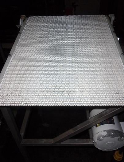 Used 20 Inch Wide X 27 Inch Long Intralox Belt Conveyor Stainless Steel Sanitary