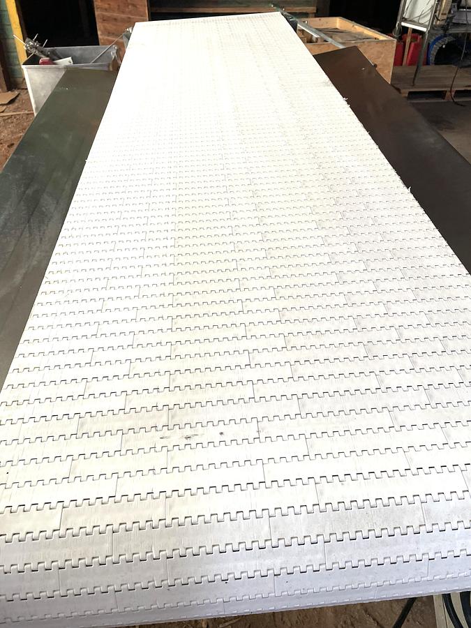 Used Loos Stainless Steel Sanitary Pack Off Conveyor 26 Inches X 96 Inches