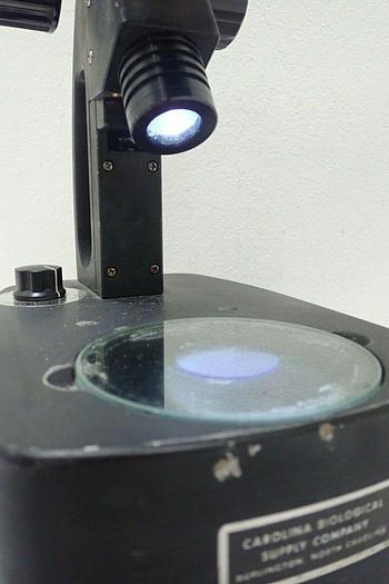 Used Wolfe Stereo Zoom Microscope with Dual Lights & 2 HWF 10X Eyepieces