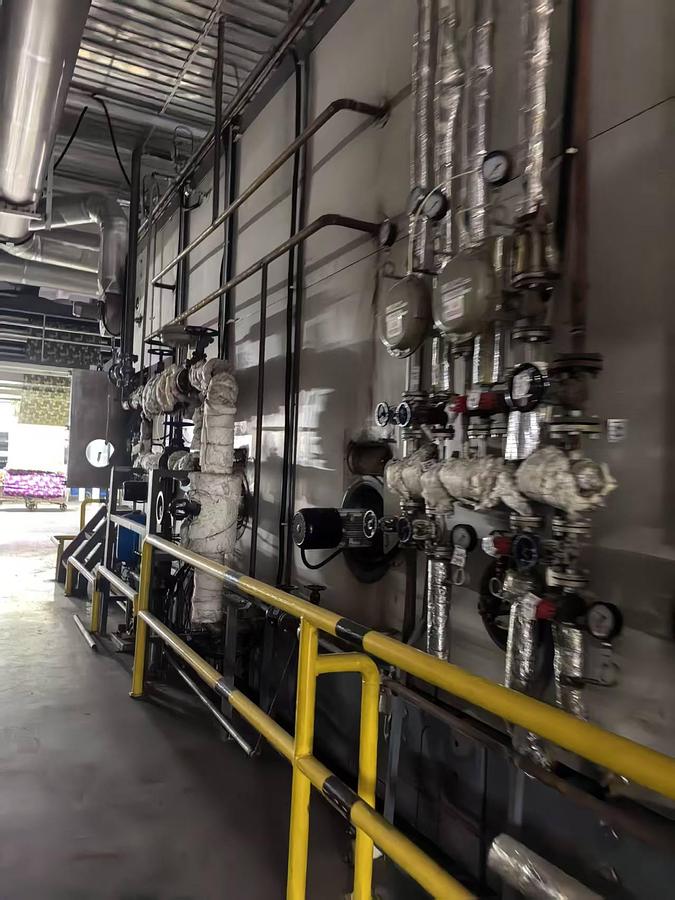 Used Arioli steamer for fabric