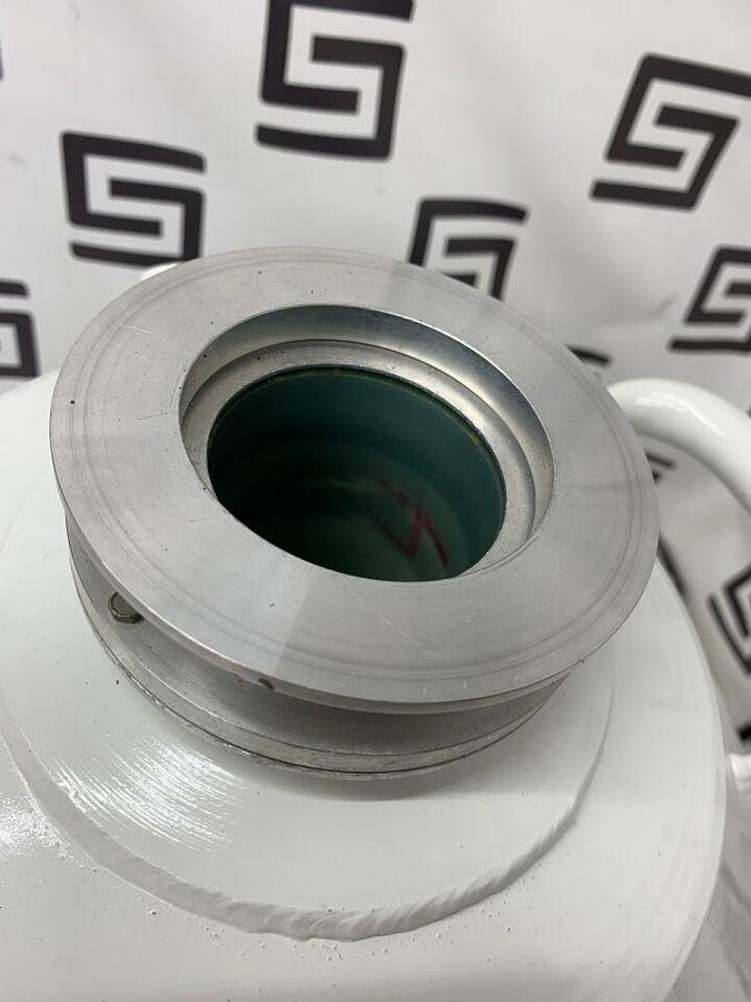 Used TAYLOR WHARTON 25 Liter Portable LN2 Storage Container