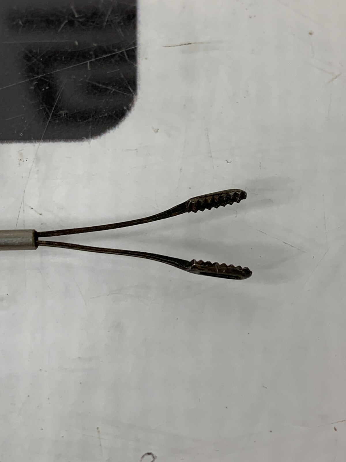 Used Pilling 50-6060 Jackson Grasping Forceps Peanut ENT 35cm Straight Serrated