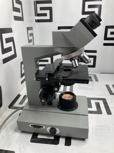 Used Bristoline Bristolscope Binocular Tabletop Bench Microscope 3 Objectives 852938