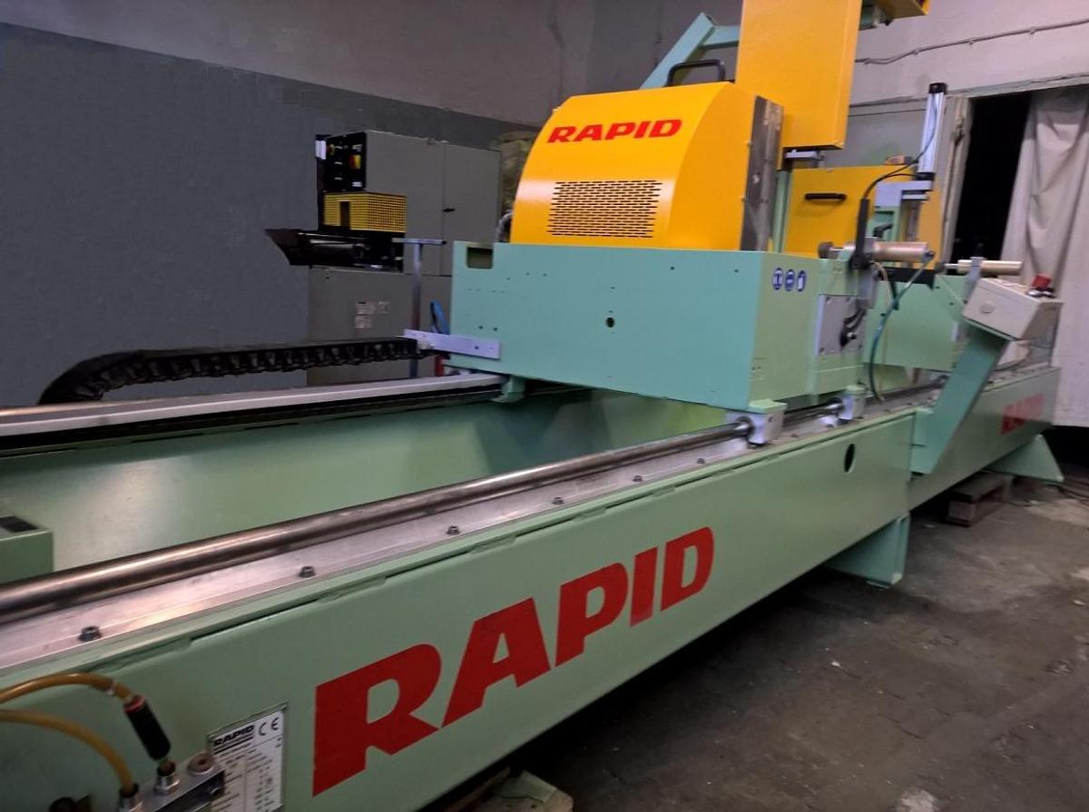 Used DOUBLE HEAD SAW (AUTOMATIC) DGL 200 E YEAR 2001