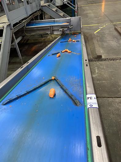 Used Stainless Steel Incline Conveyor 6m L 0.55m W 1.4m H