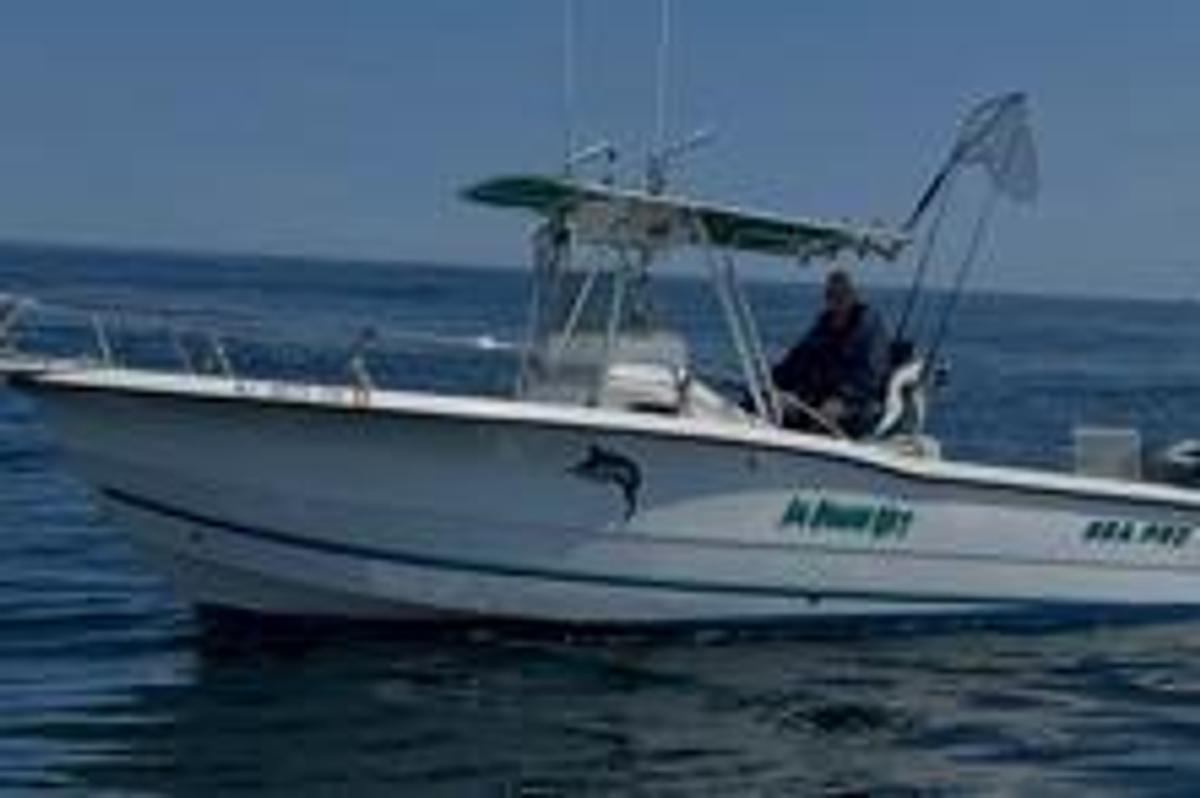 Used 2001 26' Sea Pro 255 Center Console | 26ft